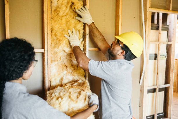 Best Soundproof Insulation  in Desoto, TX